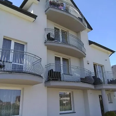Muszelka Karwia